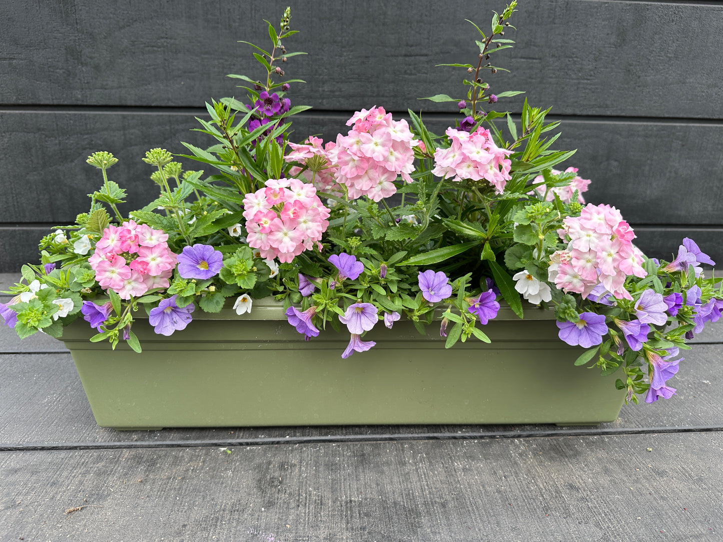 COMBO #26 - 24'' WINDOW BOX