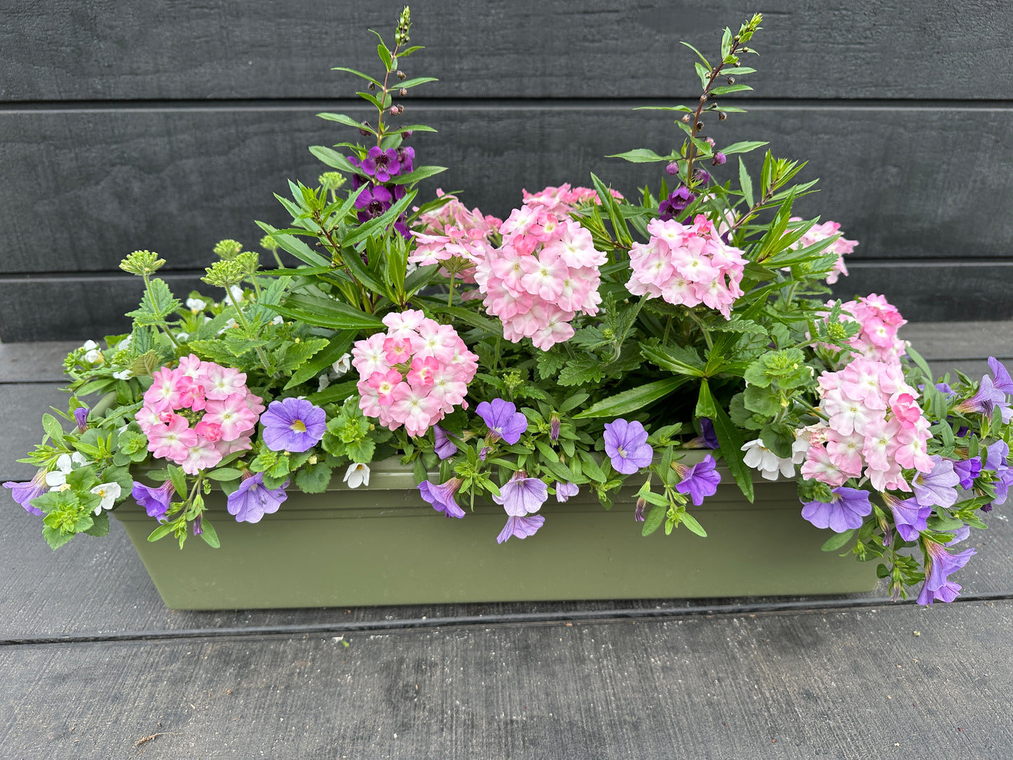 COMBO #26 - 24'' WINDOW BOX