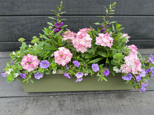 COMBO #26 - 24'' WINDOW BOX