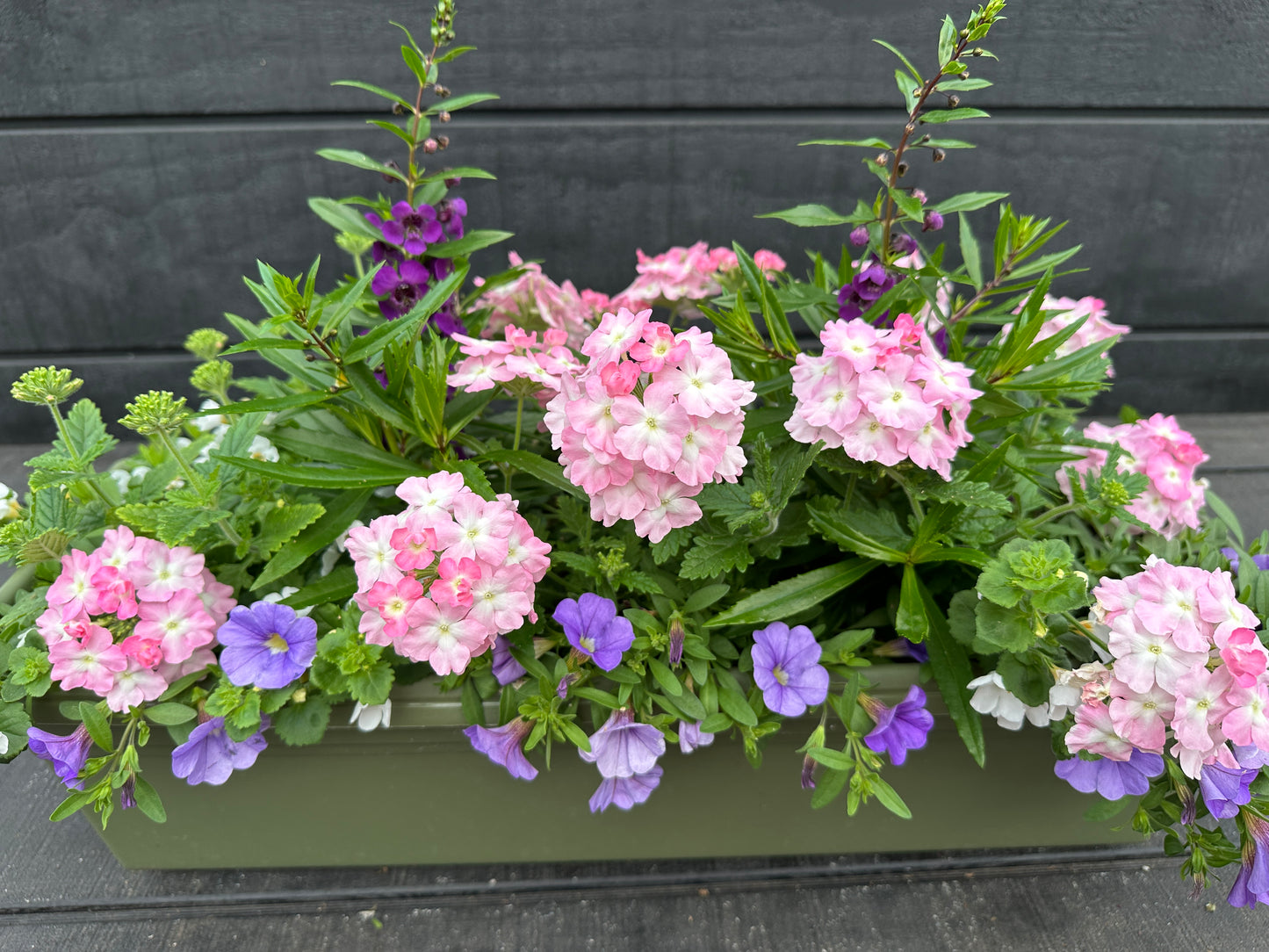 COMBO #26 - 24'' WINDOW BOX