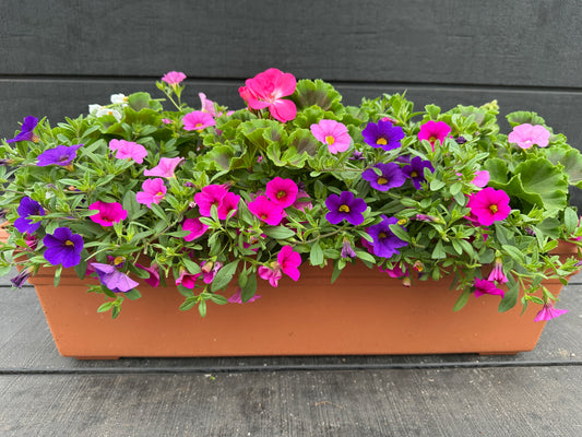 COMBO #18 - 24'' WINDOW BOX