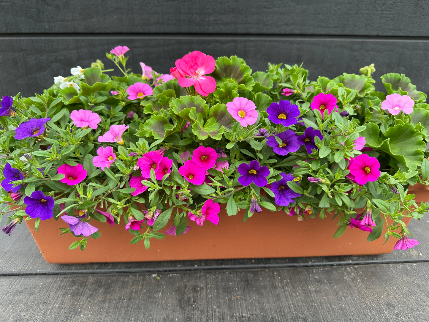 COMBO #18 - 24'' WINDOW BOX