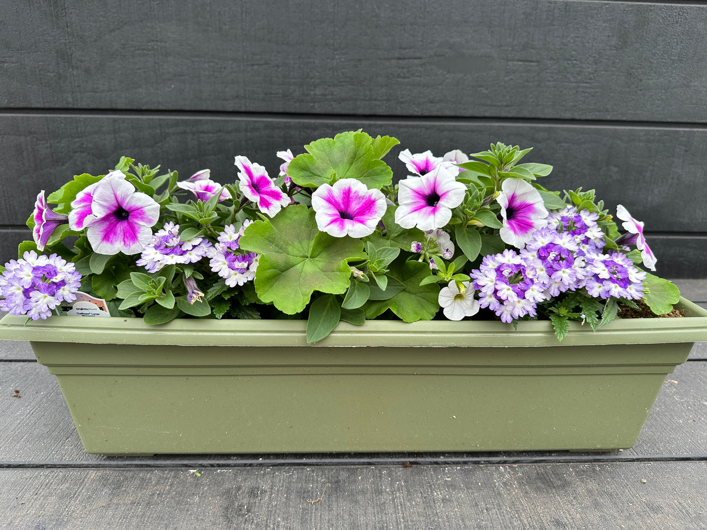COMBO #10 - 24'' WINDOW BOX