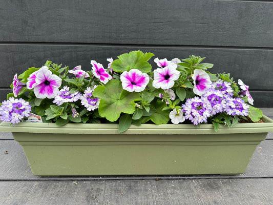 COMBO #10 - 24'' WINDOW BOX