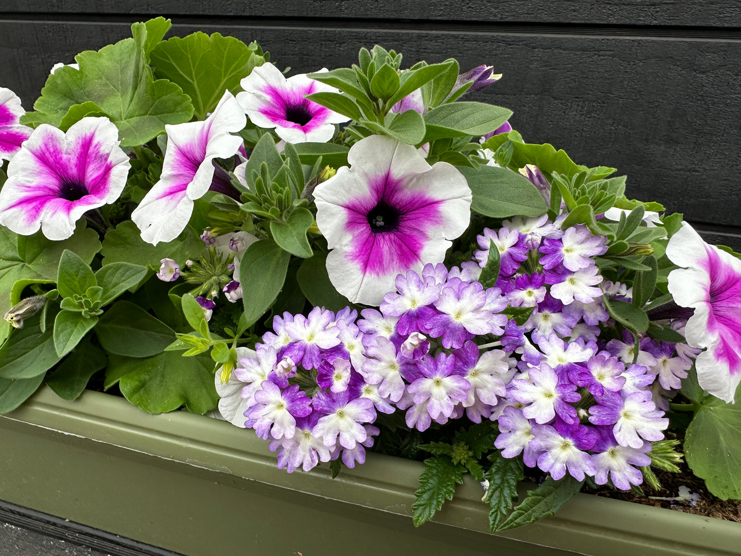 COMBO #10 - 24'' WINDOW BOX