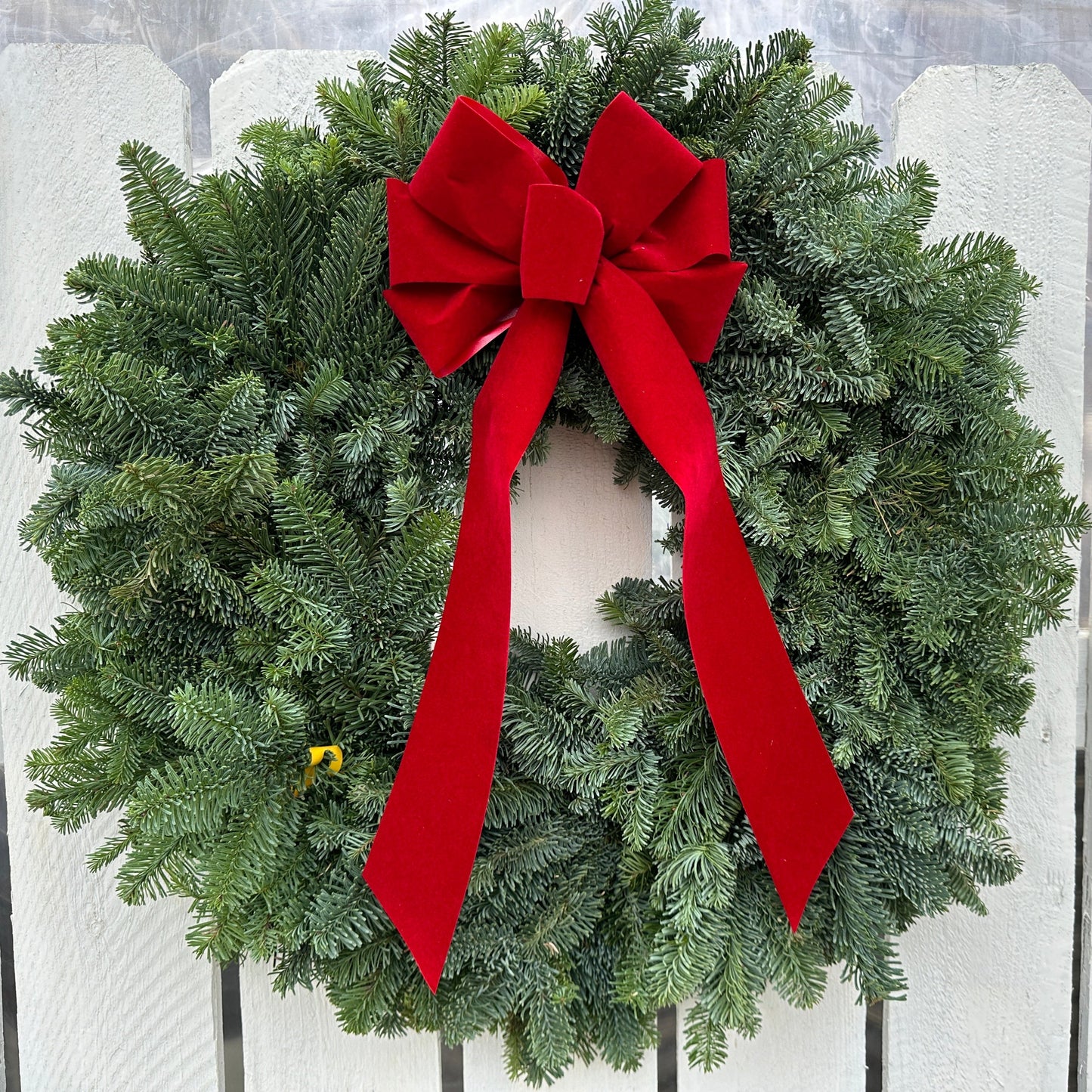 12'' Noble Fir Wreath (Xmas)