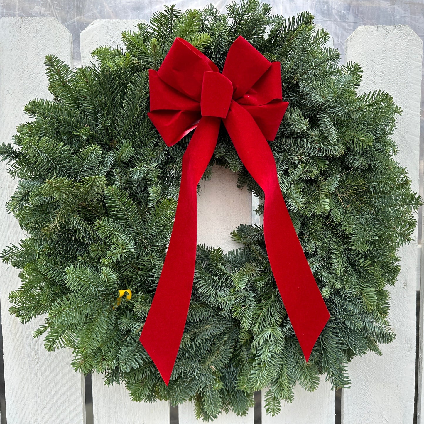 14'' Noble Fir Wreath (Xmas)