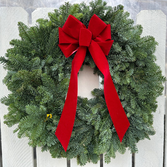14'' Noble Fir Wreath (Xmas)
