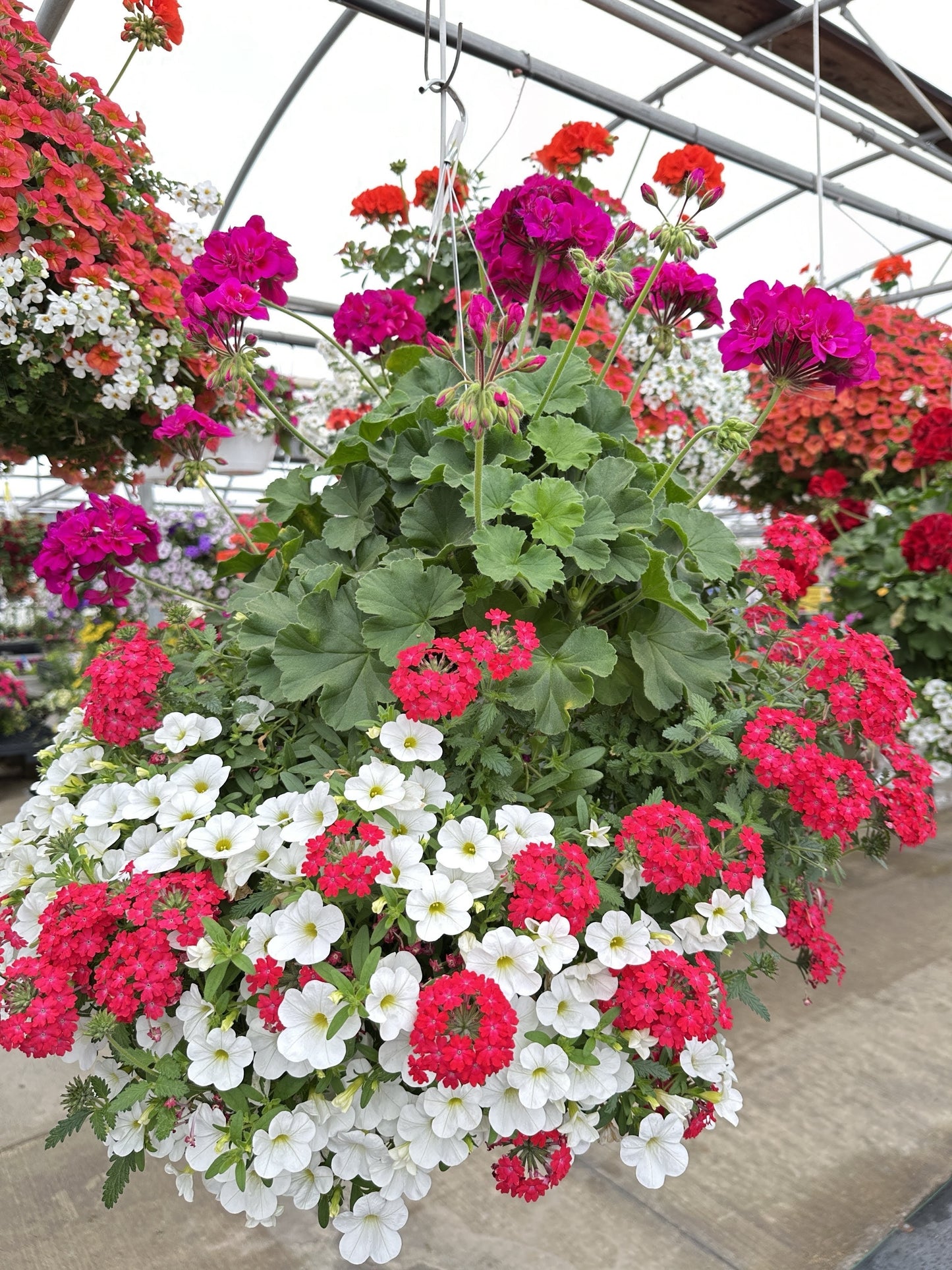 BASKET #95 - 12'' HANGING BASKET