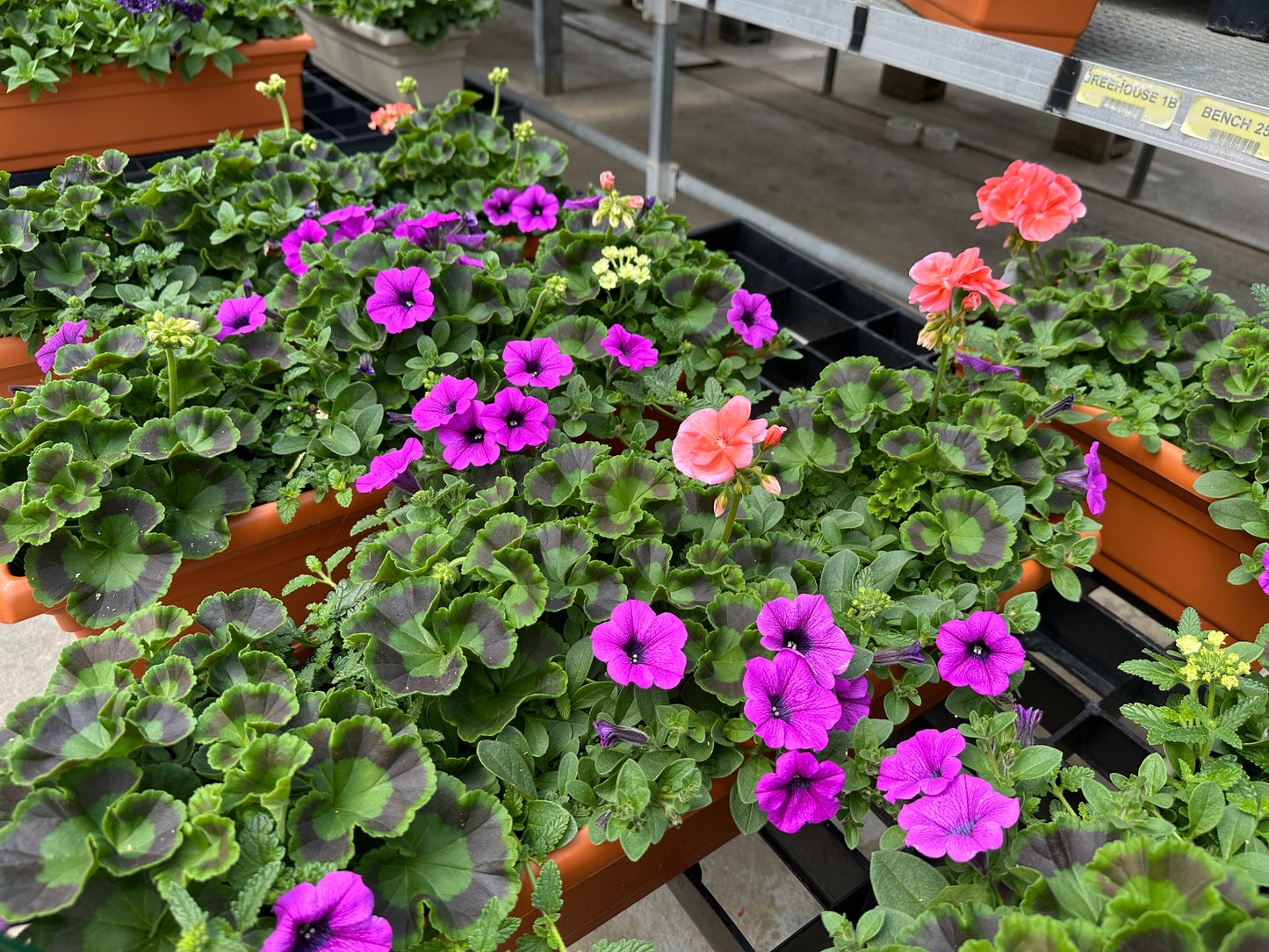 COMBO #1 - 24" WINDOW BOX