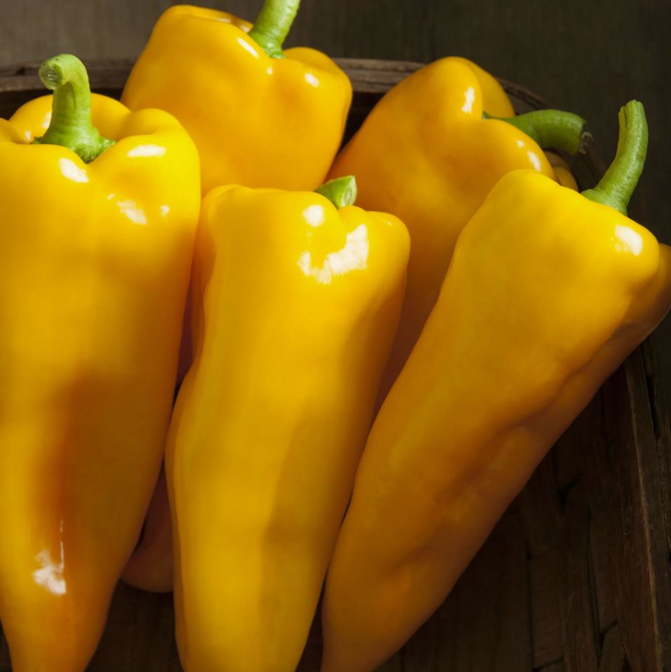 PEPPER MAMA MIA BANANA - 4'' POT