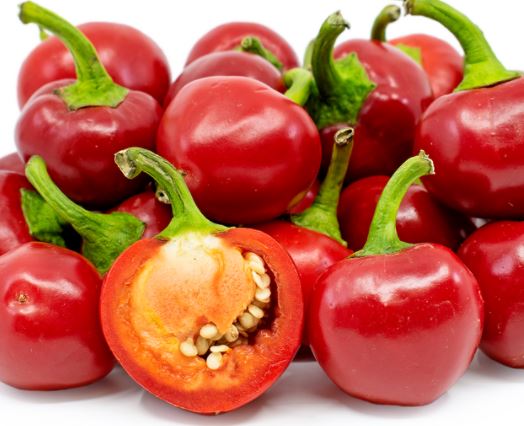 PEPPER RED CHERRY HOT - 4'' POT