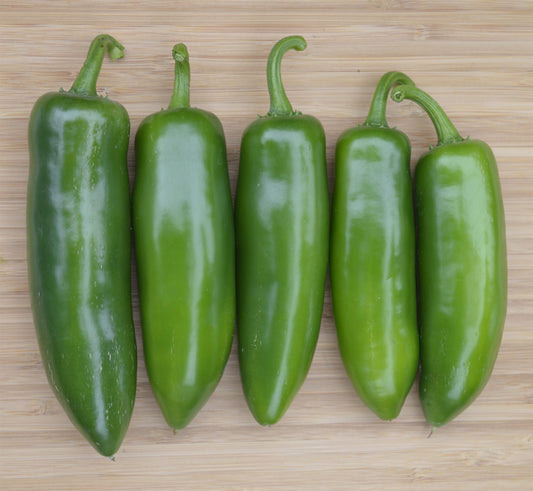 PEPPER TRICKED YOU JALAPENO - FLAT OF 32 PLANTS