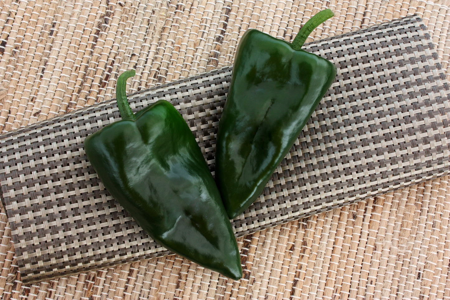 PEPPER ANCHO TRIDENT - 4'' POT