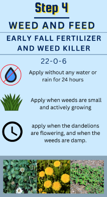 Step 4: 22-0-6 Weed and Feed