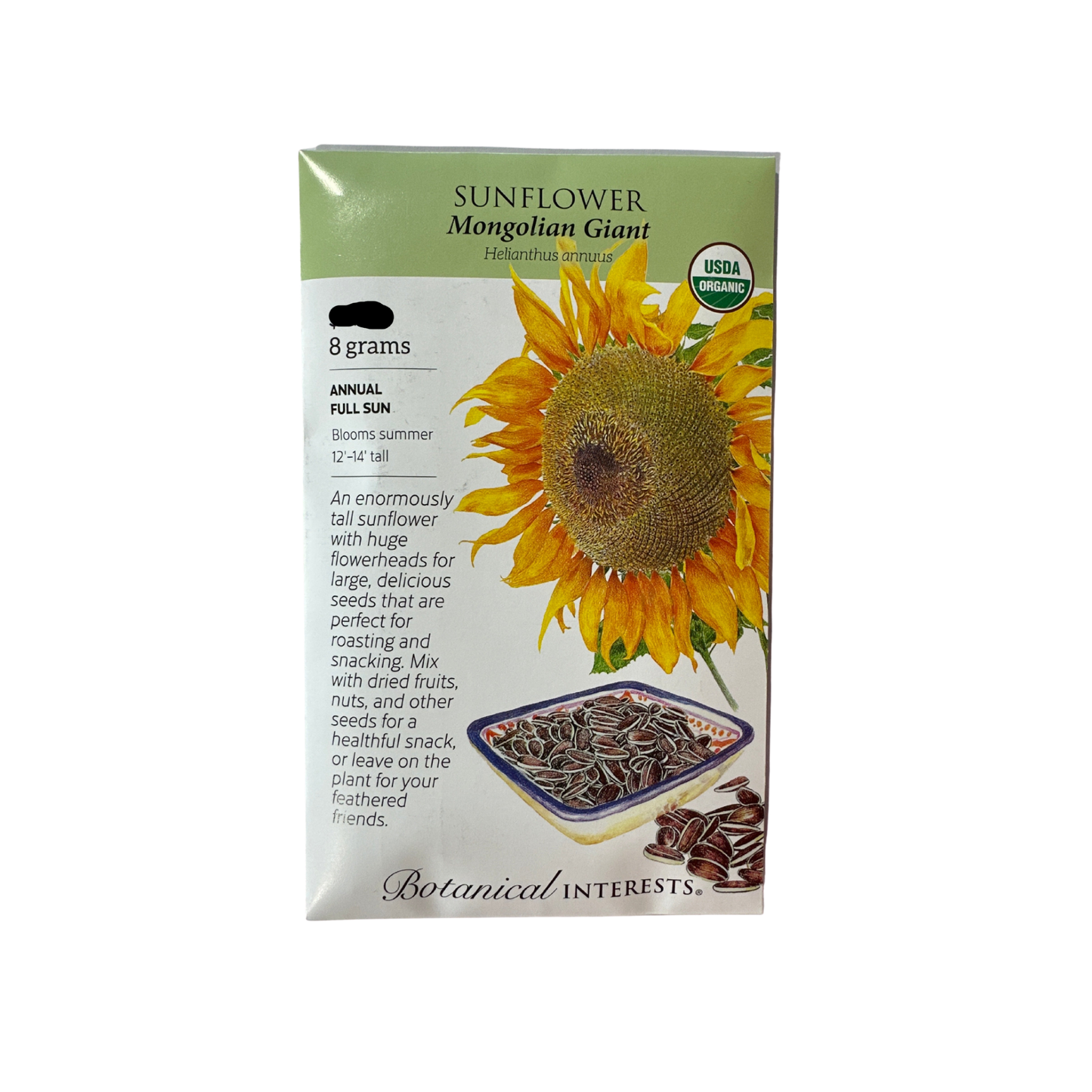 Sunflower Mongolian Giant Org