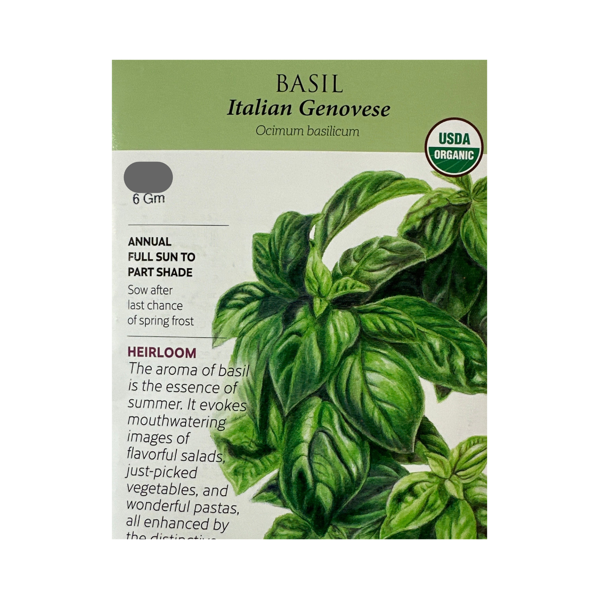 basil seeds for garden Basil Italian Genovese Org – Deneweth's Garden Center