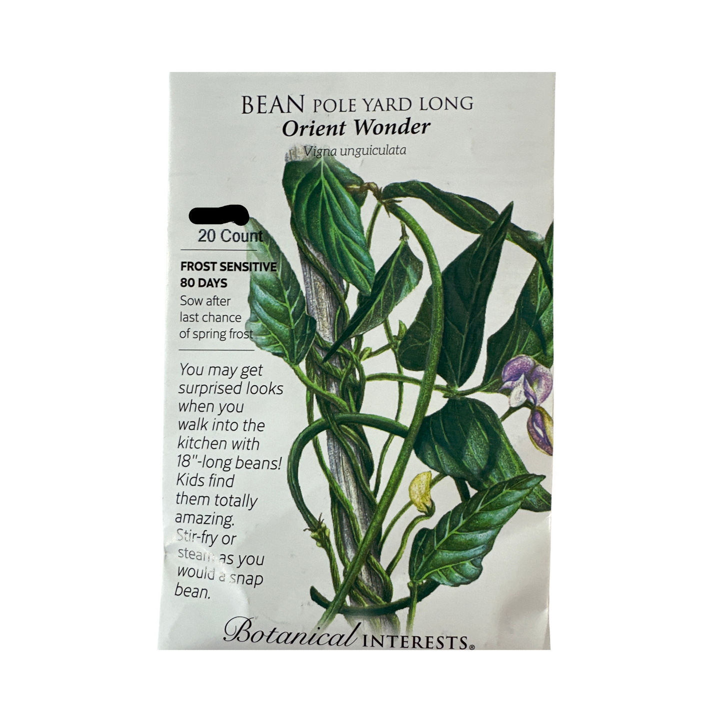 Bean Pole YardLongOrientWonder