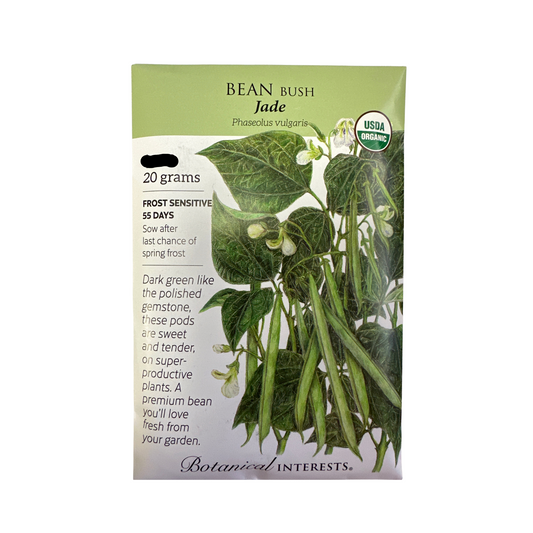 Bean Bush (green) Jade Org