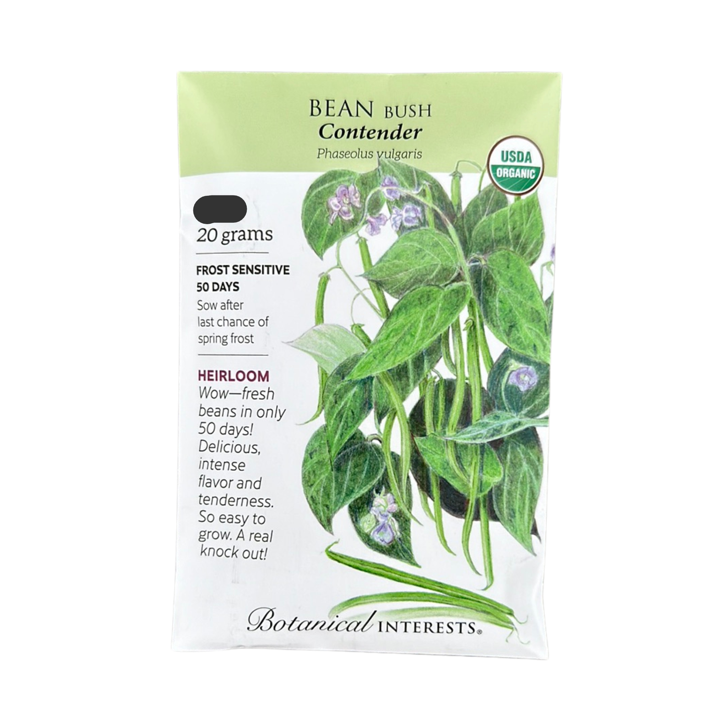 Bean Bush (green) Contender Org