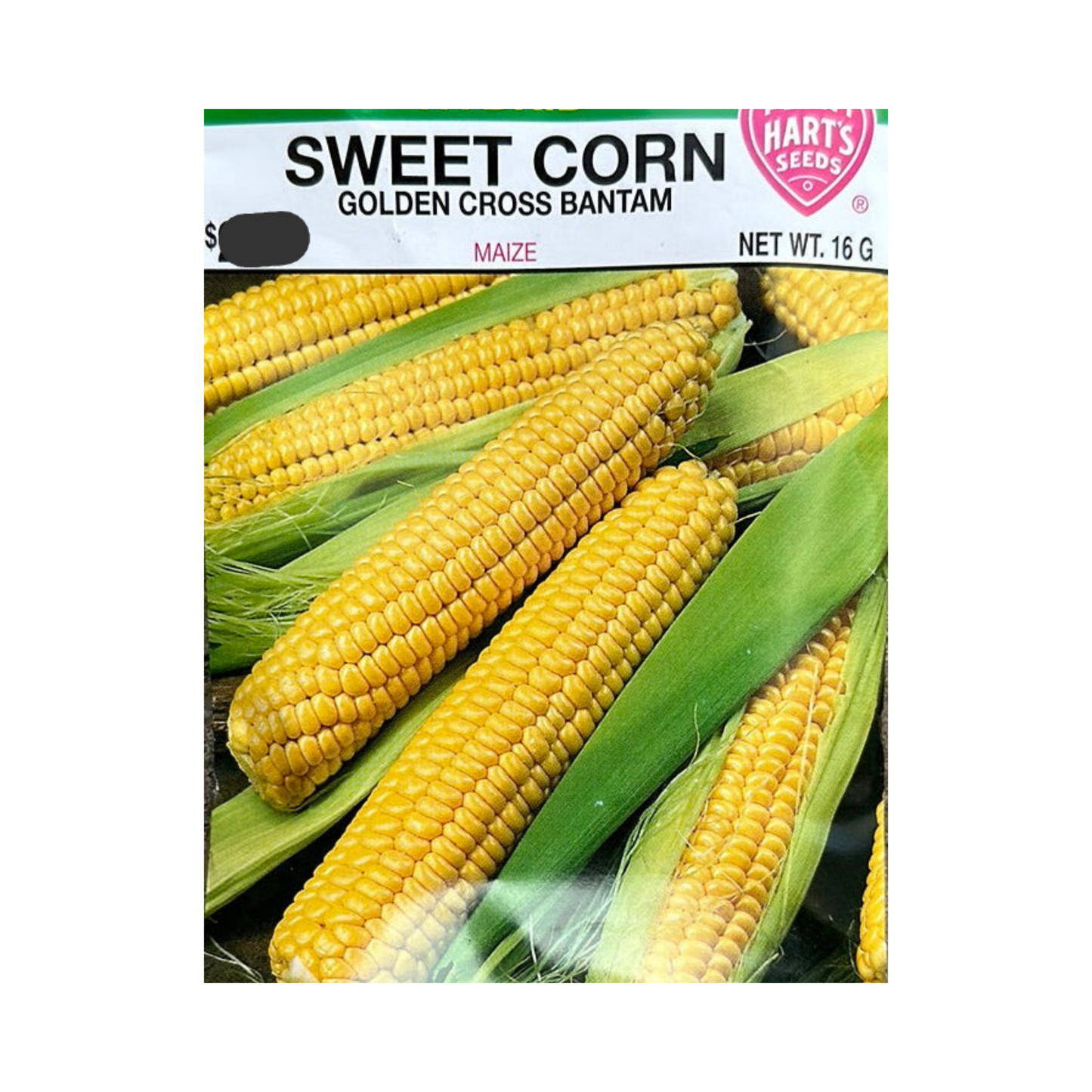 Corn Golden Cross Bantam