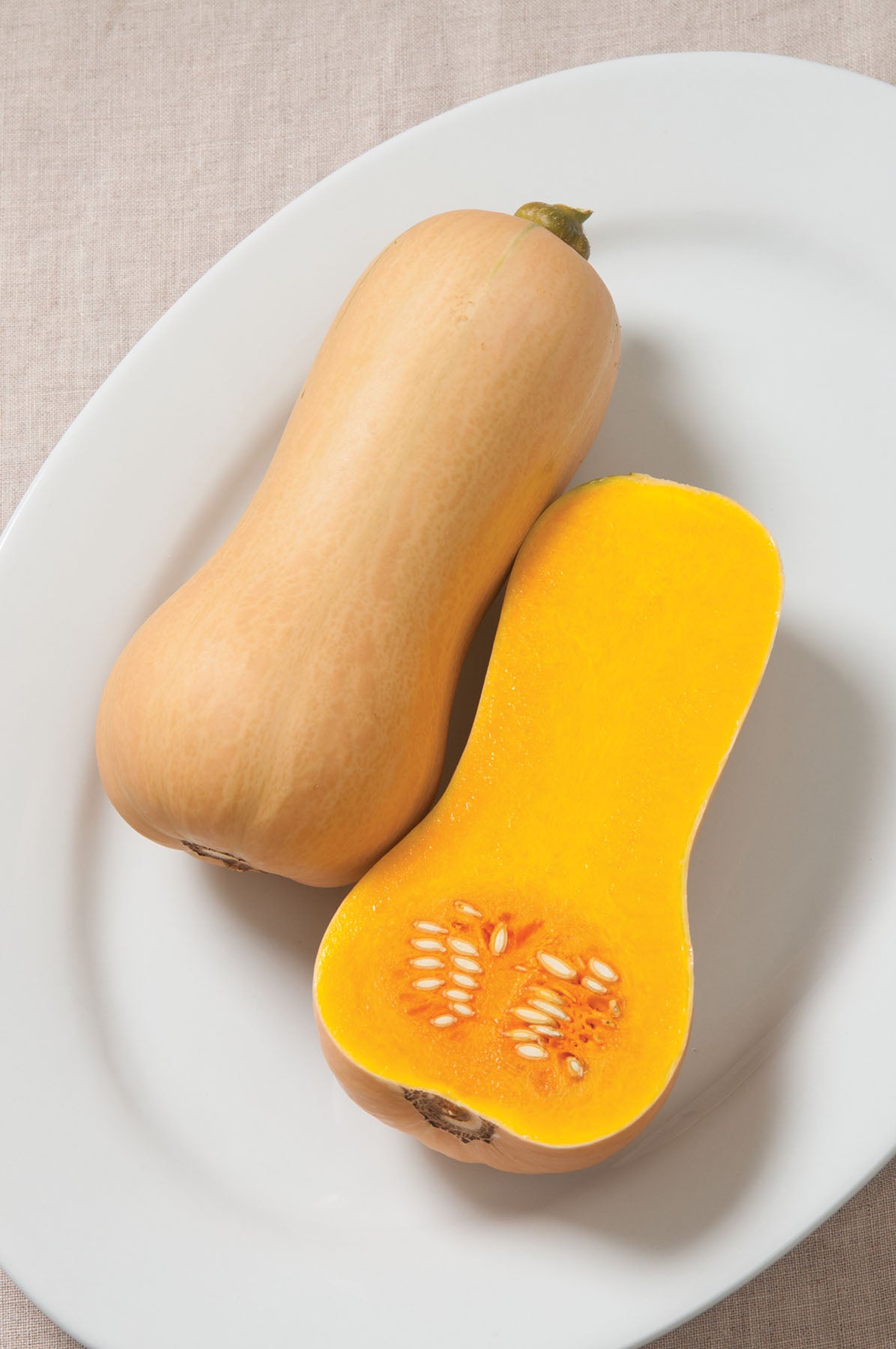 SQUASH BUTTERSCOTCH - FLAT OF 32 PLANTS