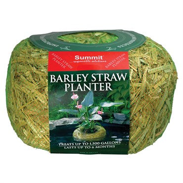 Summit Medium Barley Straw Planter 5"x8"