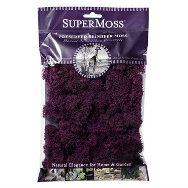 SuperMoss 2oz Reindeer Moss Fuchsia