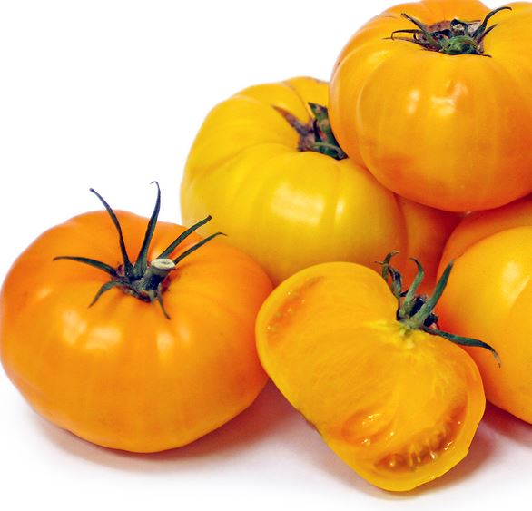 TOMATO YELLOW BRANDYWINE - 4" POT