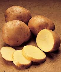 6'' Gold Rush Potato