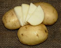 6'' Kennebec Potato
