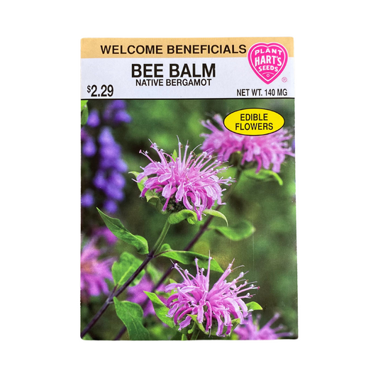 Bee Balm (Monarda)