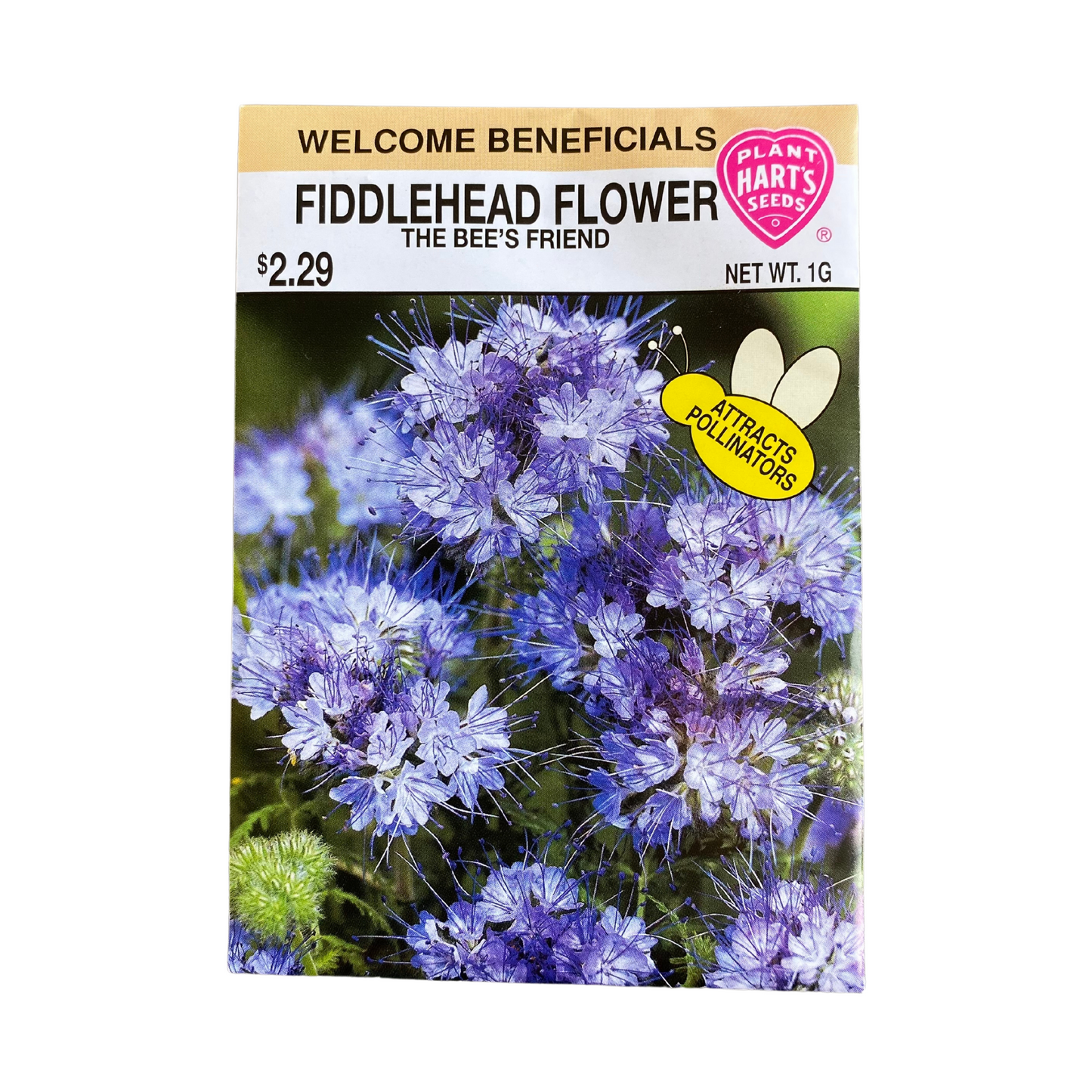 Fiddlehead Flower (Bee's Friend)