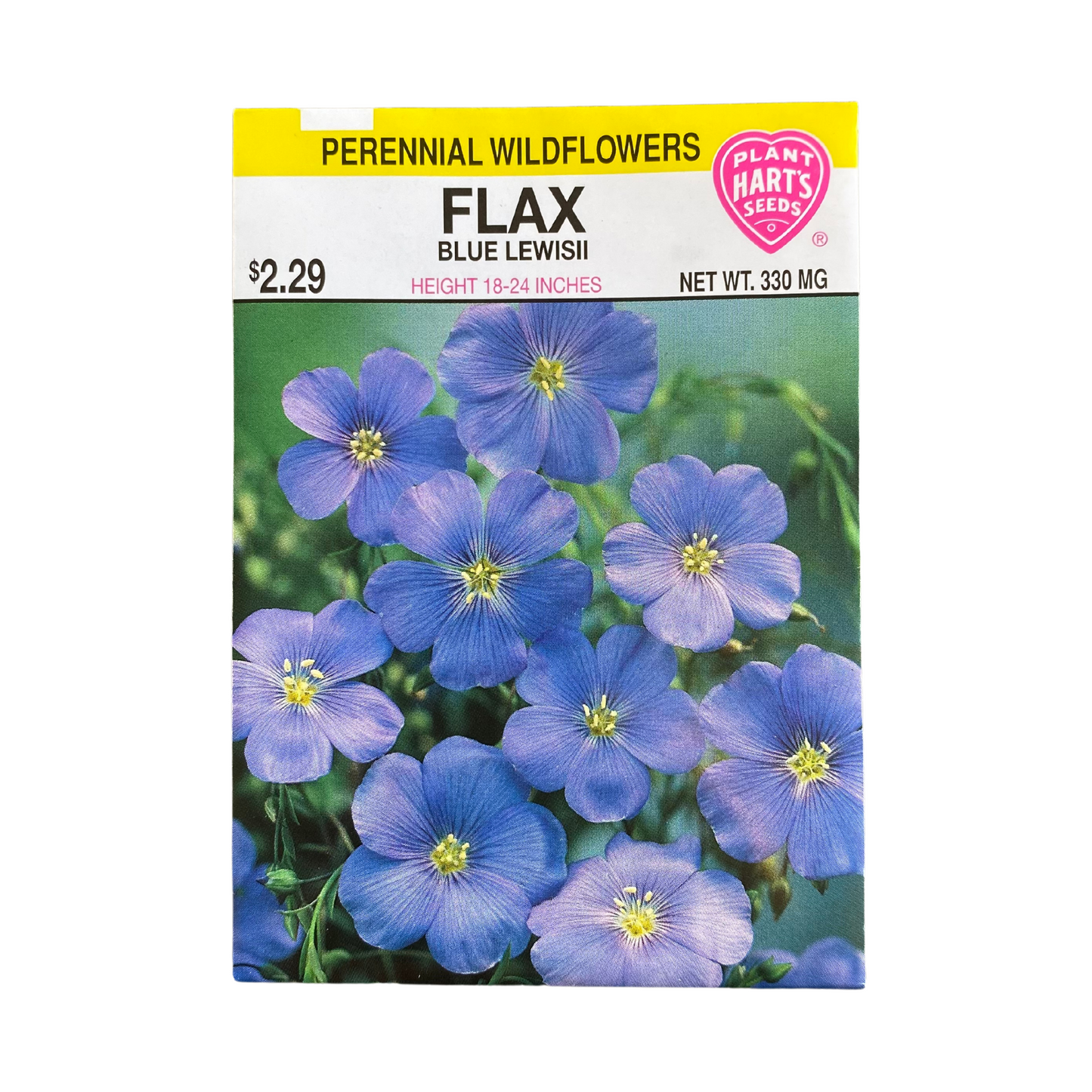 Flax Blue Lewisii