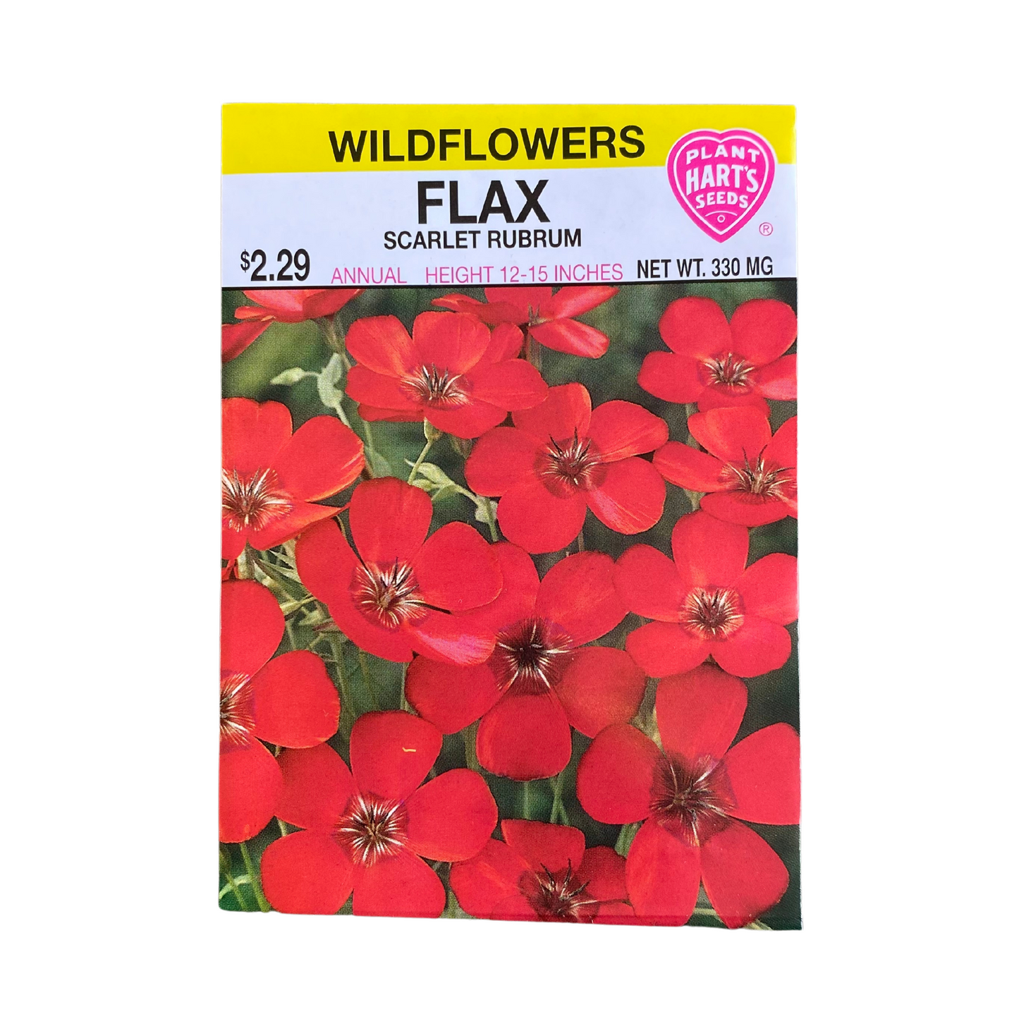 Flax Scarlet