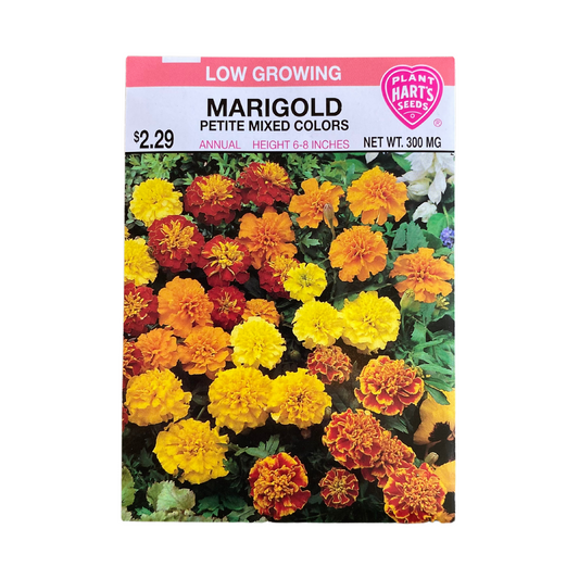 Marigold Petite Mixed