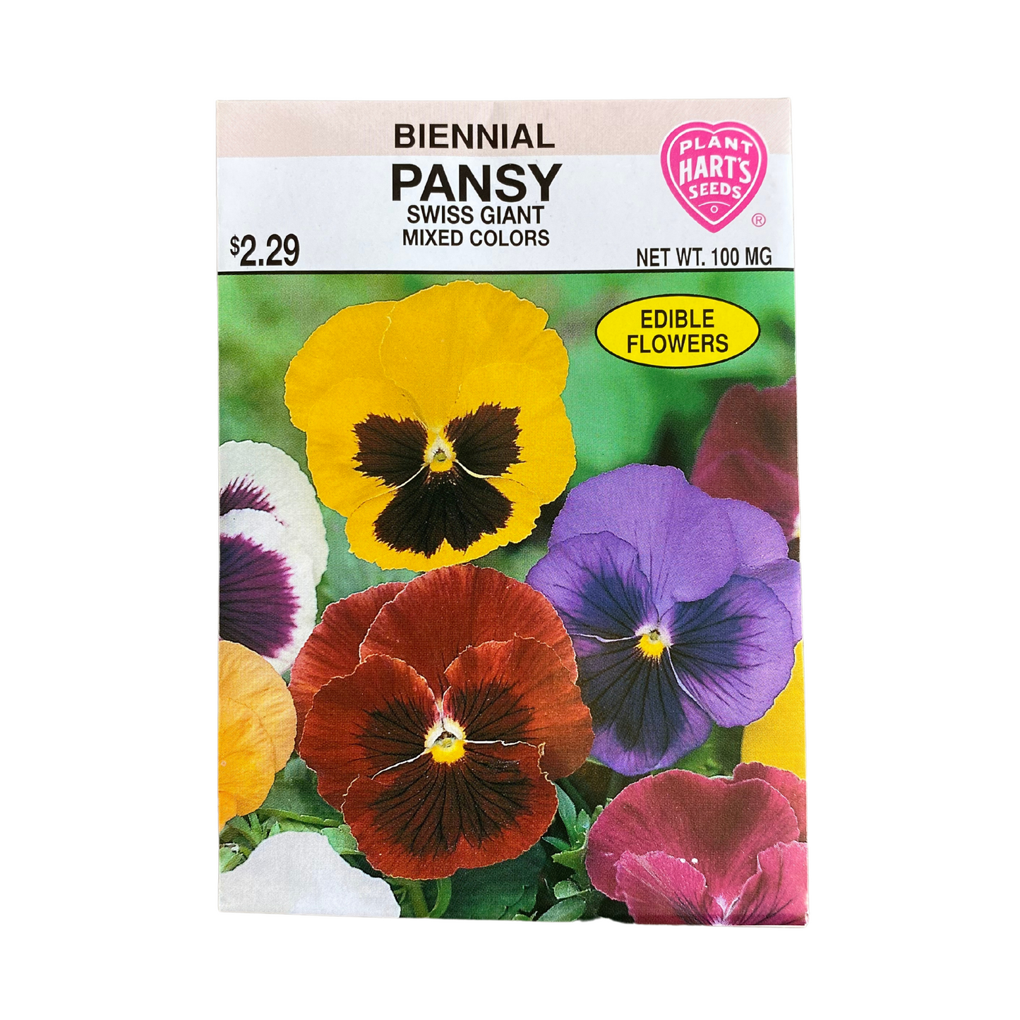 Pansy Swiss Giant