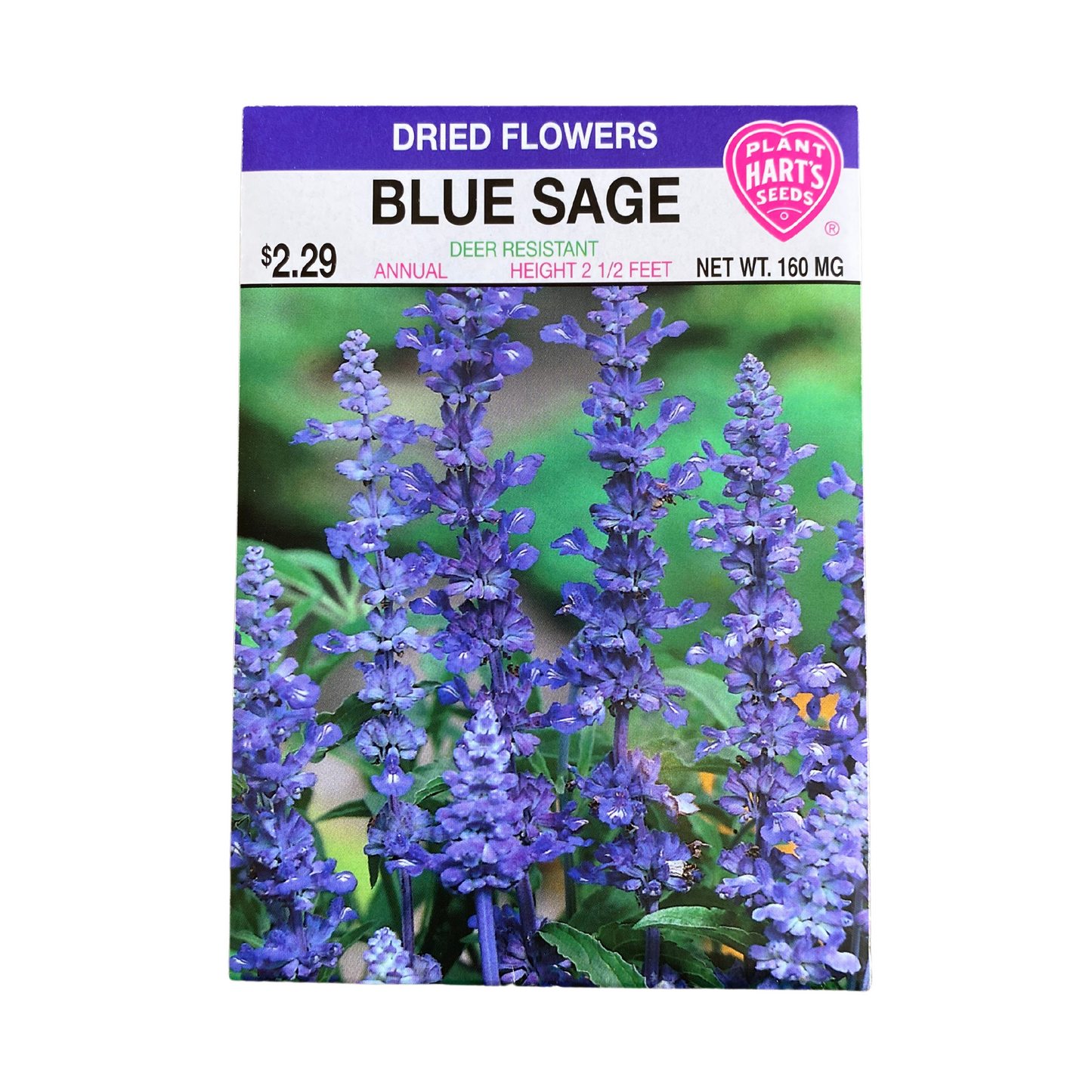 Blue Sage