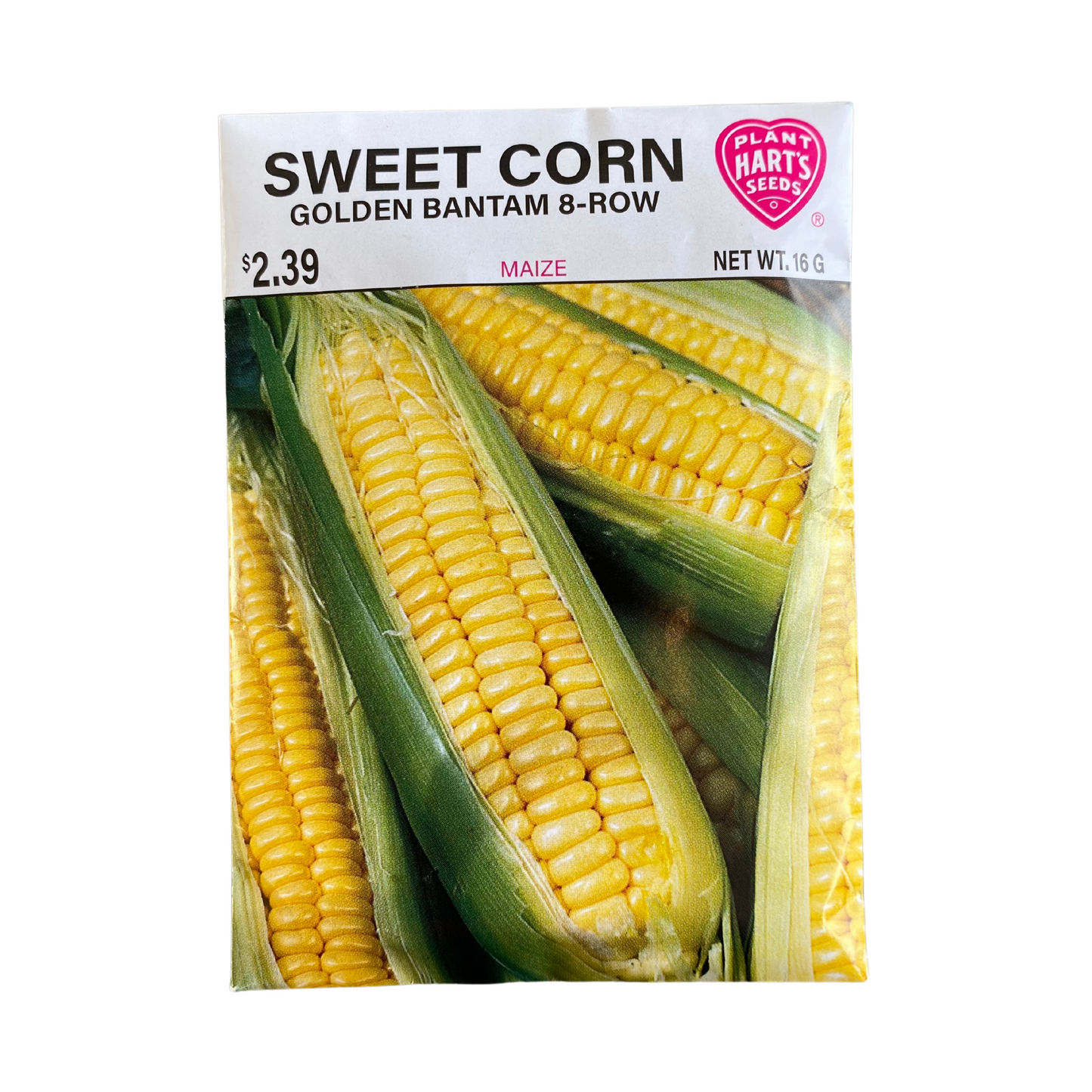 Corn Golden Bantam 8 Row