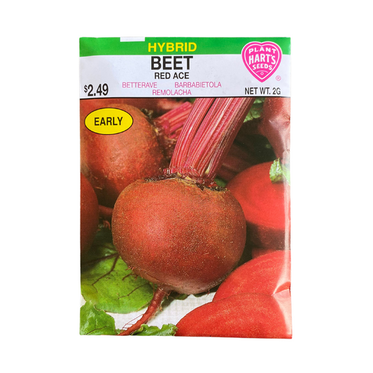 Beet Red Ace