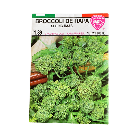 Broccoli De Rapa