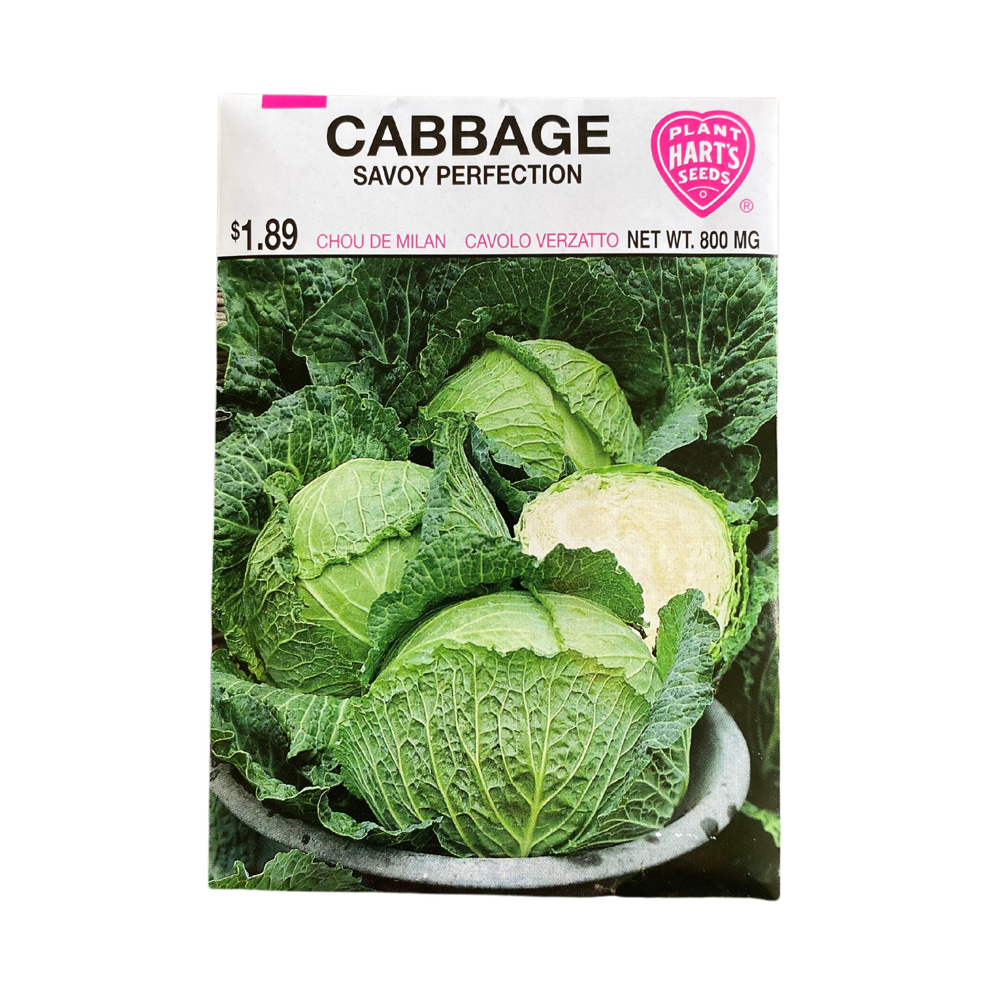 Cabbage Savoy Perfection