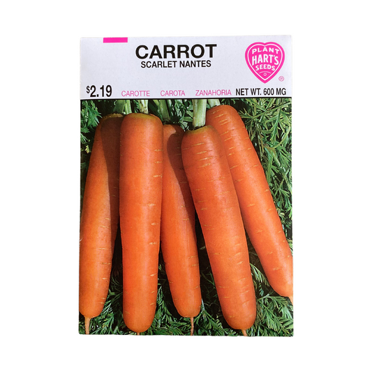 Carrot Scarlet Nantes Coreless