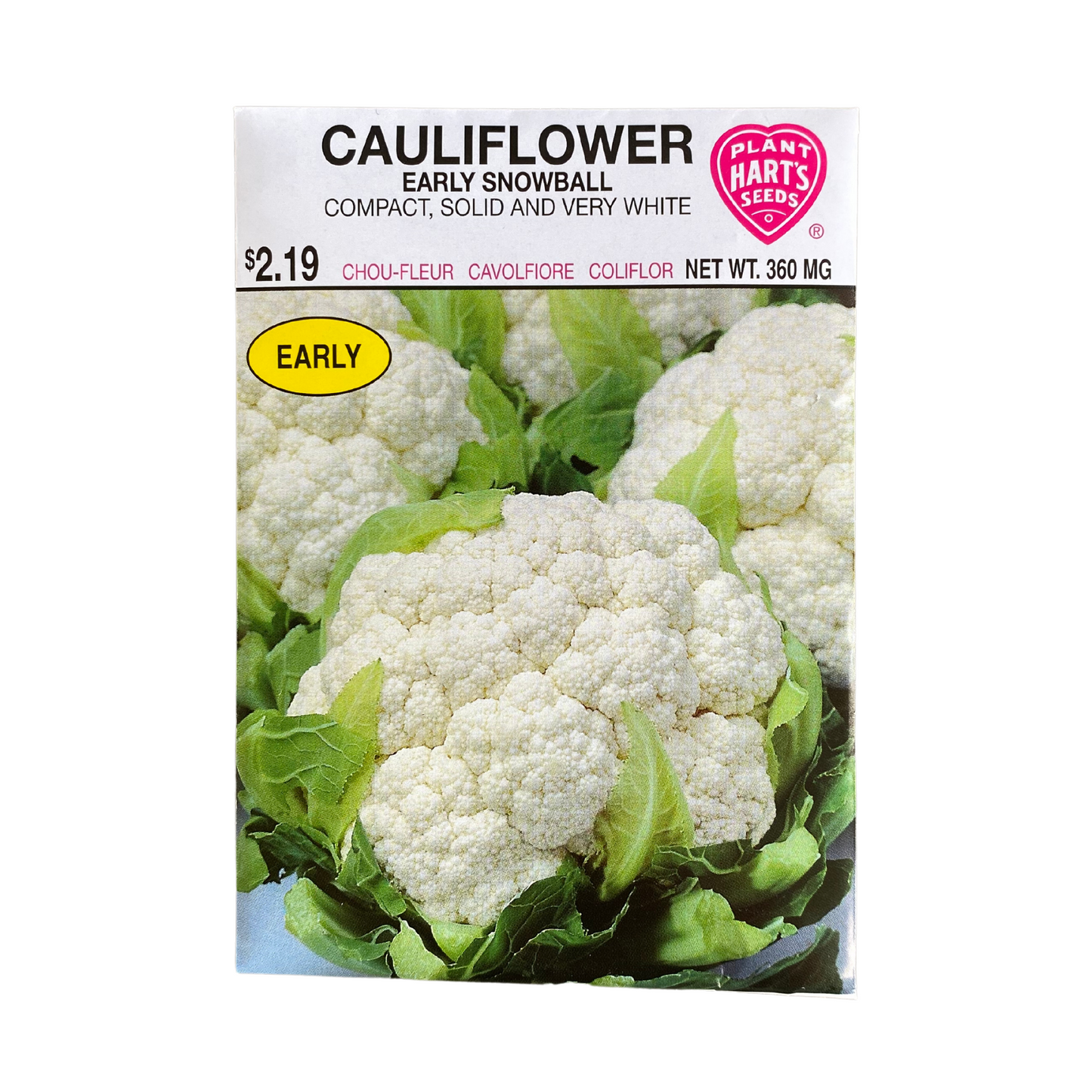 Cauliflower Early Snowball