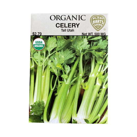 Organic Celery Tall Utah