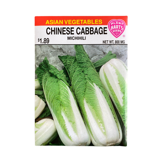 Chinese Cabbage Michihili