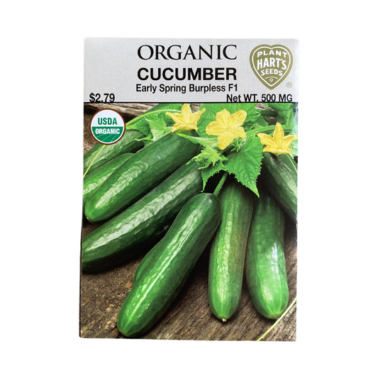 Organic Cucumber Early Spring Burpless