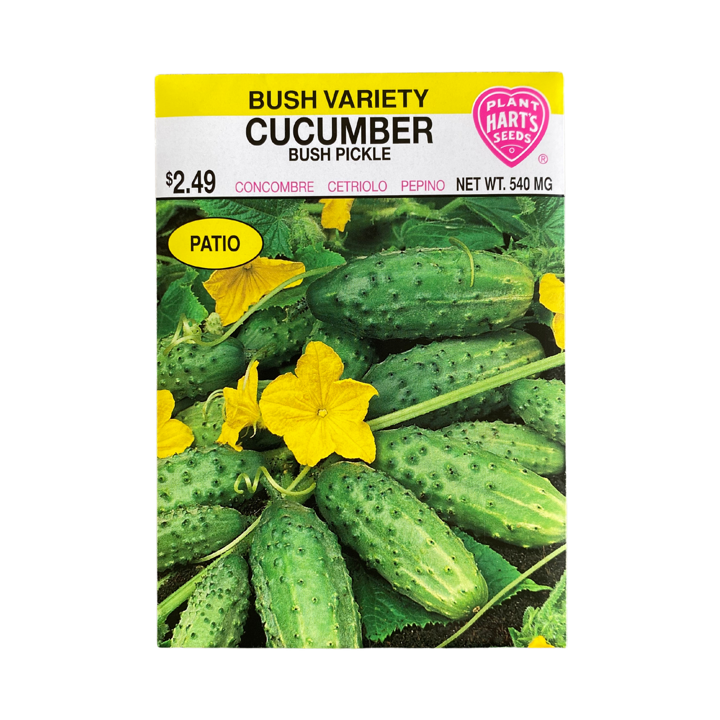 Cucumber Wisconsin SMR 58 Pickling