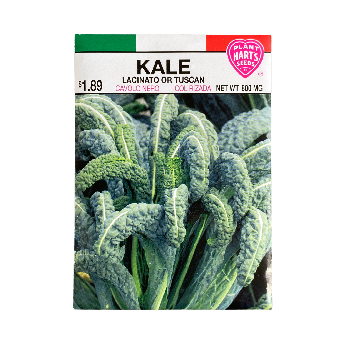 Kale Lacinato