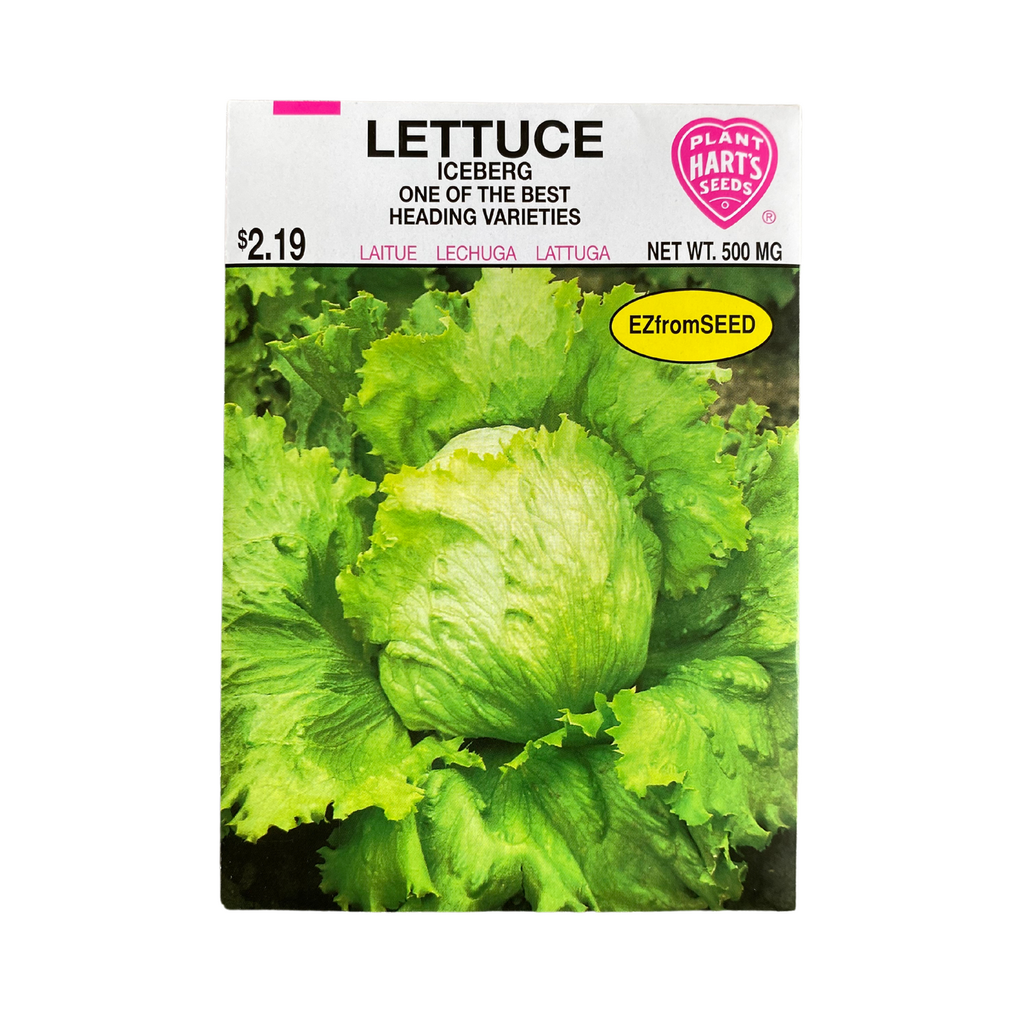 Lettuce Iceburg